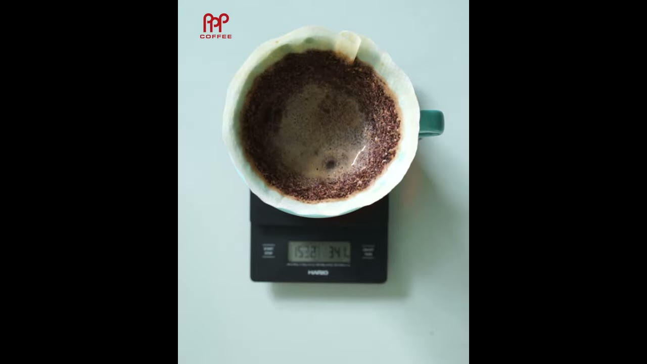 Fall In Love With Hario Ceramic V60 Drippers