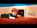 Escape as a Tiny Human - Full Walkftrough | Roblox
