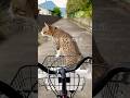 わかりやすいオトコですw