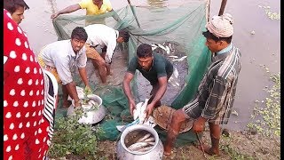 Amazing Fish Hunting 25HD 2019