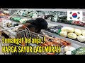 BELANJA MINGGGUAN (kebutuhan makanan) DI KOREA