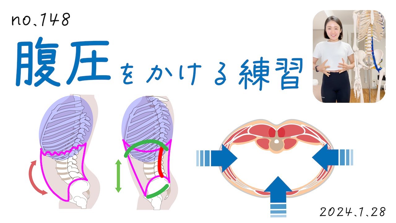 148【姿勢】腹圧をかける練習