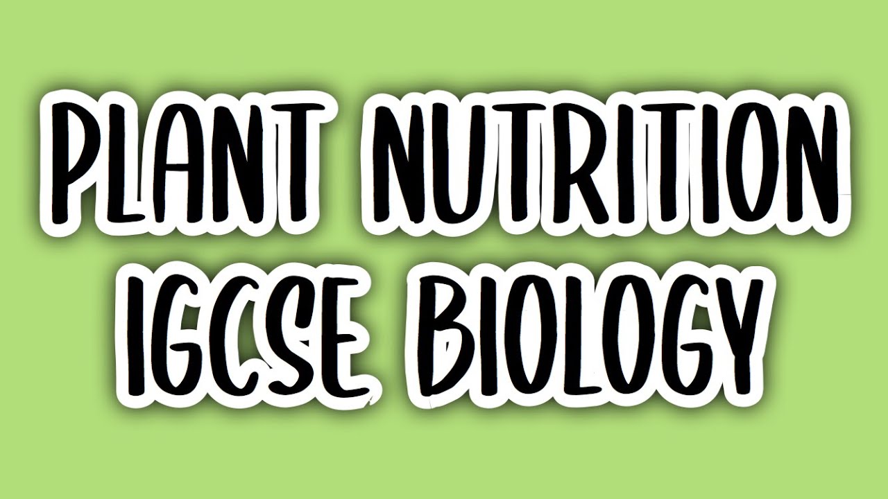 Plant Nutrition (#6) | IGCSE BIOLOGY (0610) - YouTube