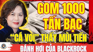 GOM 1000 TẤN BẠC: BLACKROCK: "Cá Voi" Đánh Hơi Thấy Mùi Tiền?