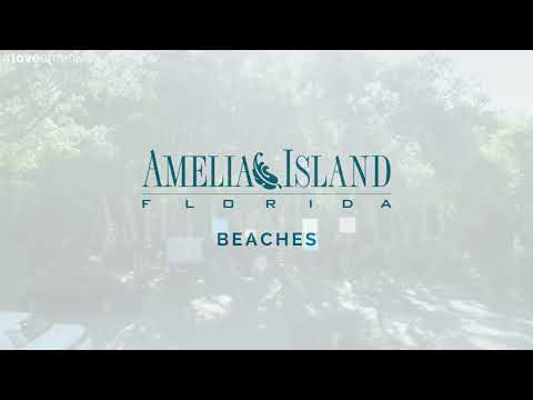Fly Above the Beaches of Amelia Island, FL