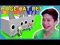 Surprising my Little Nephew with the Huge Cat Pet in Roblox Pet Simulator