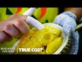 The True Cost Of Durian’s Explosive Growth | True Cost