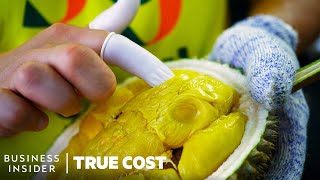 The True Cost Of Durian’s Explosive Growth | True Cost | Business Insider