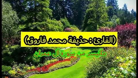 القارئ: حذيفة محمد فاروق