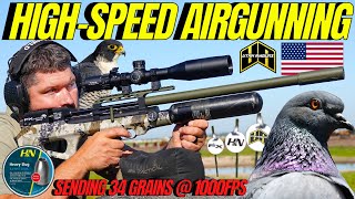 HIGH SPEED AIR GUN HUNTING WITH FX WILDCAT MK3 BT I FX IMPACT PRS AIR GUN HUNTING AT FULL THROTTLE