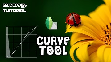 SNAPSEED CURVE TOOL MALAYALAM TUTORIAL WELCOME 2021 LENS FEVER
