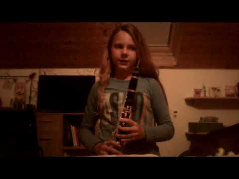 Popis klarinetu + hraní na klarinet