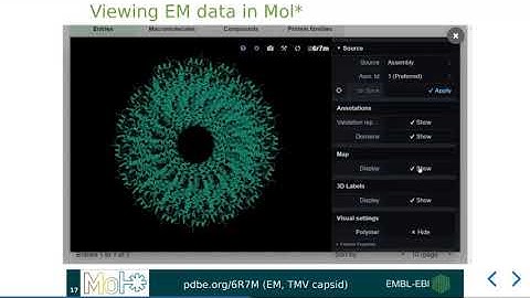 Mol* at PDBe - Viewing Electron Microscopy (EM) maps