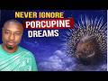 Meaning of a PORCUPINE in Dreams
