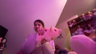 Some of my pink stuffed animals