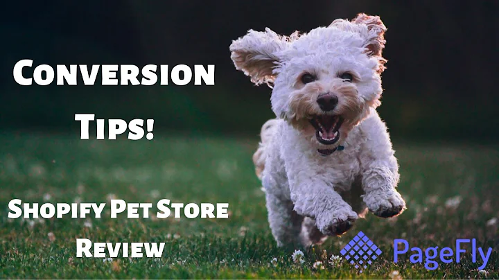 Boost Conversions for Your Pet Shopify Store: Actionable Tips and Strategies