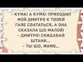 - Дмитро! Скидавай штани... Подборка веселых анекдотов! Приколы!