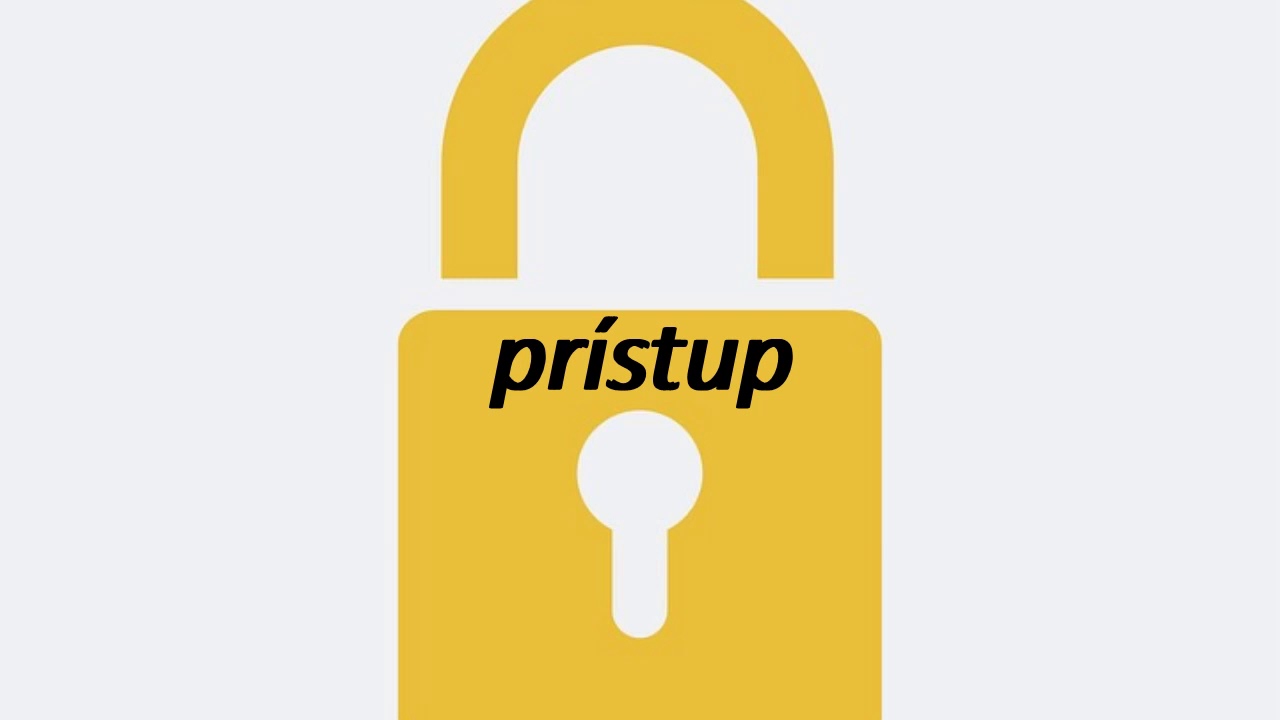 How to say access in Slovakian