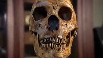 Neanderthal: Re-creating the Face | BBC Studios