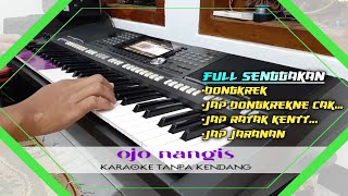 Karaoke Tanpa Kendang ~ OJO NANGIS (Ndarboy Genk)