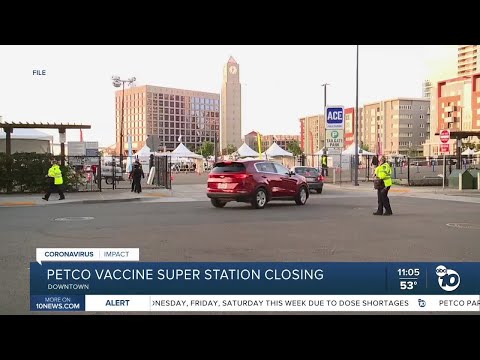 Petco Rabies Shot