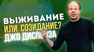 Джо Диспенза | Как устроен мозг. Выживание или созидание?