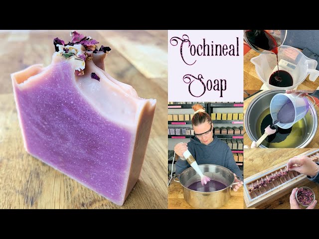 Using Madder To Naturally Color Soap Pink - House of Tomorrow
