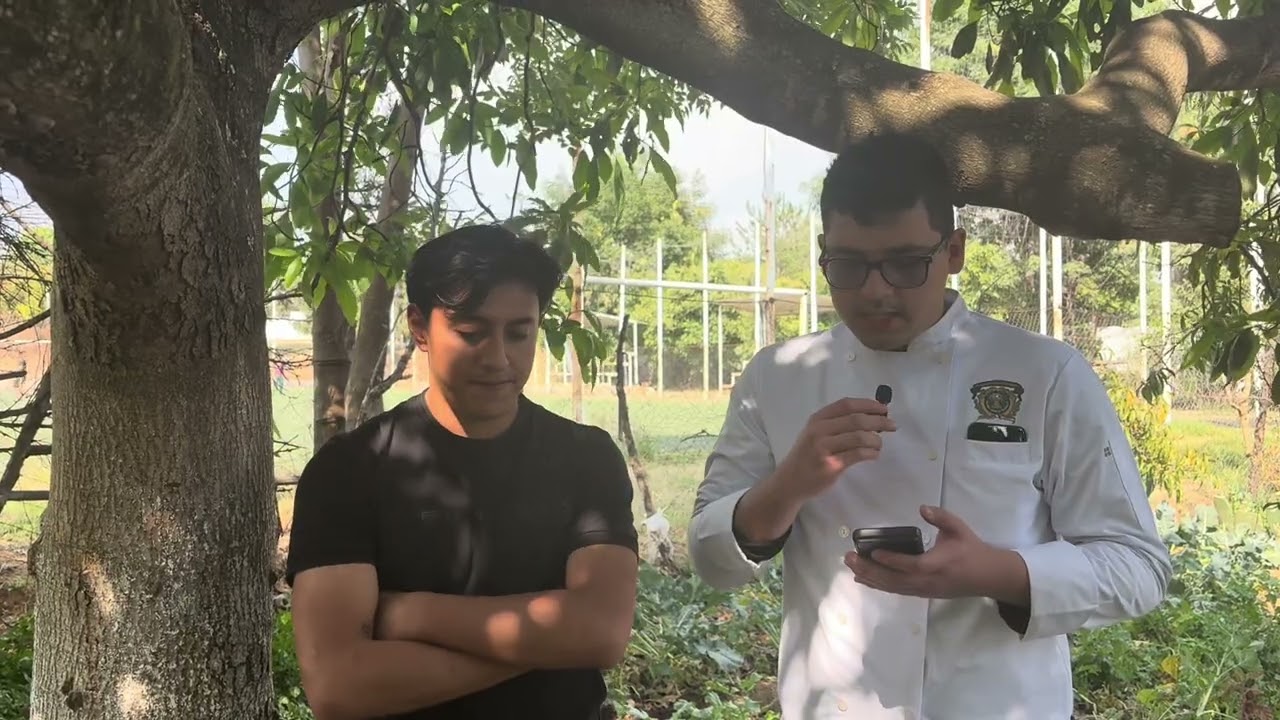 Gastronomía Sostenible 