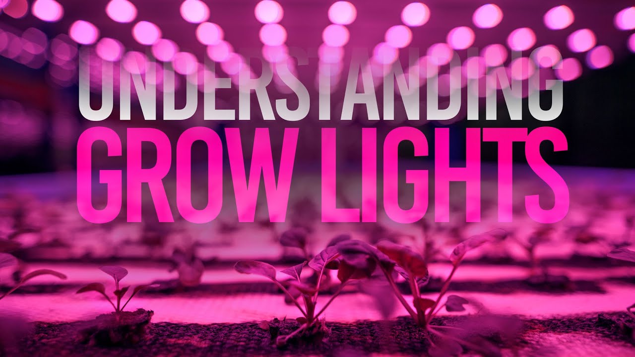 AC Infinity IONFRAME EVO3 LED Grow Light Product Highlight & Unboxing! 