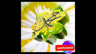 pashto naat//pashto new naat 2023//pashto naat//pashto new naat 2023