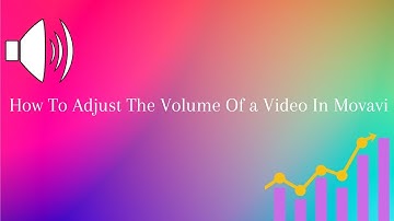 How To Adjust The Volume Of a Video In Movavi Video Suite 23