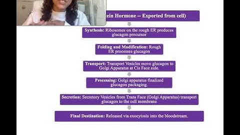 Module 4 Application Activity: The Movement of Macromolecules Flowchart (Video Assignment)