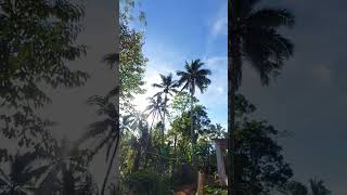 Suasana kampung halaman sejuk sekali temen2