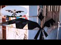 Agilaeagle kite saranggola vlog