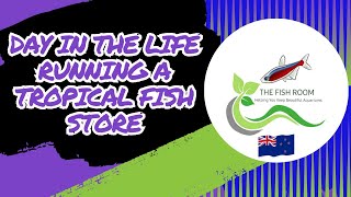 A day on the life of running a tropical fish store 148