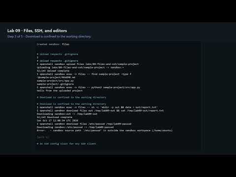 NVIDIA OpenShell Hands-On 09 - Files, SSH, and editors