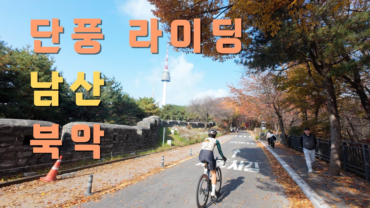 올해 단풍 라이딩은 서울이닷! | 남산 | 북악 | 경복궁 | 덕수궁 다 찍먹해봄
