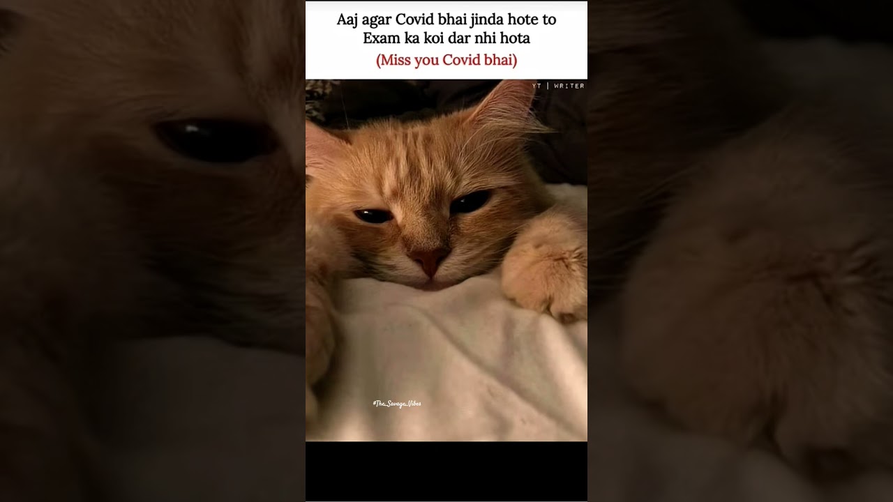 Do u also miss covid? 