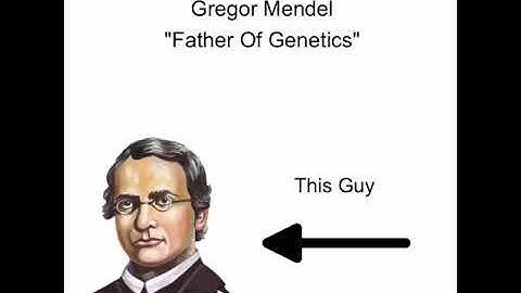 IB Biology Standard 3.4A Inheritance