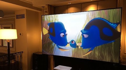 Elite Screens Aeon CLR