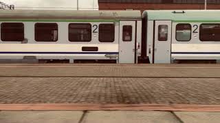 Celebrity Koresma - Waves Profile