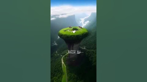 (أفلا يتوبون إلى الله ويسغفرونة )تلاوة خاشعة #قران_كريم