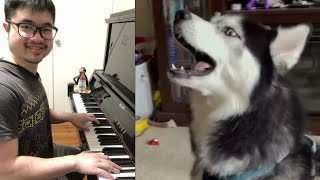 Amazing Husky Dog Sings a Ragtime