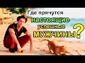 Признаки настоящего мужчины. Как найти успешного мужчину?