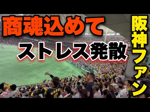 【歌詞付き】初夏の暑さに負けずに商魂込めてを大合唱する東京ドームの阪神ファン。【視聴者提供】2023年7月2日阪神対巨人