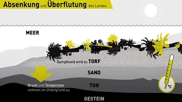 Wo sind fossile Brennstoffe entstanden?