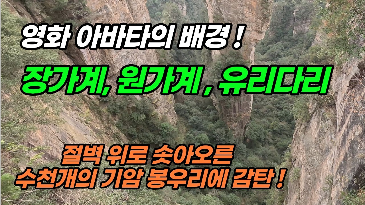 2026년 2월 수천개의 봉우리와 기암졀벽! 한폭의 동양화를 보는듯 자연이 만든 걸작품! 장가계,원가계 패키지 4박5일 투어! 대협곡 유리다리, 황룡동굴,천자산, 천문산