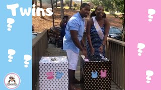 Twins Gender Reveal pt 2 - What Will Babies Be?