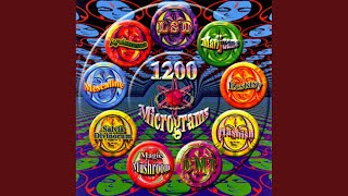 Magic Mushrooms