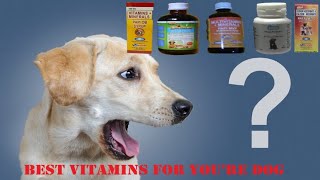 The Best Vitamins para sa inyong alagang Aso with Price List by Restless TV 145,431 views 3 years ago 7 minutes, 19 seconds